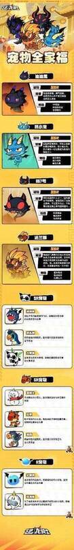 飞吧龙骑士宠物介绍图