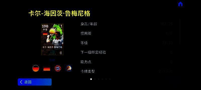 鲁梅尼格赛场风采图片