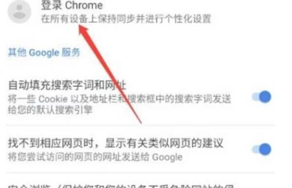 输入谷歌账号信息的界面