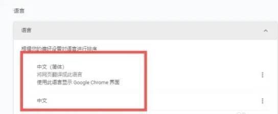 勾选显示语言选项的页面截图