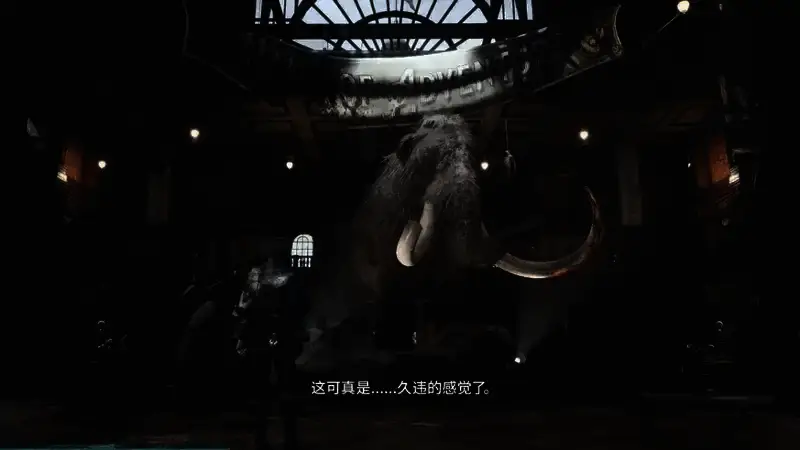 《匹诺曹的谎言：序曲》预告截图3