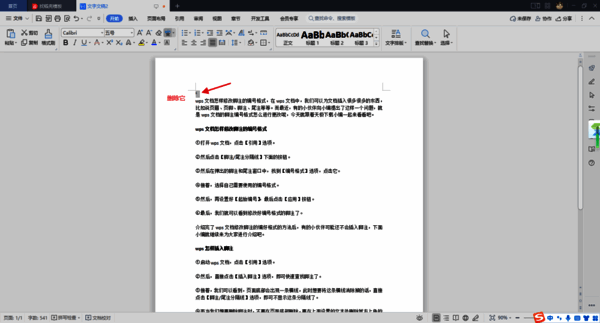 wps删除脚注操作界面