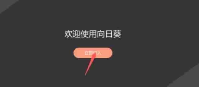 打开向日葵远程控制软件界面