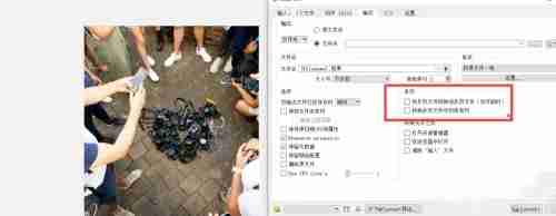 XnView软件多页显示设置界面示例图