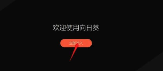 打开向日葵远程控制软件界面