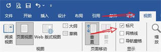 Word视图功能区标尺选项界面
