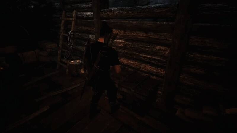 《哥特王朝：重制版》视频截图3