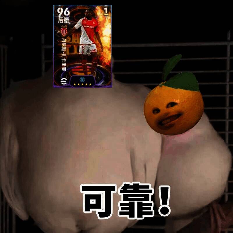 扎卡里亚相关图片1