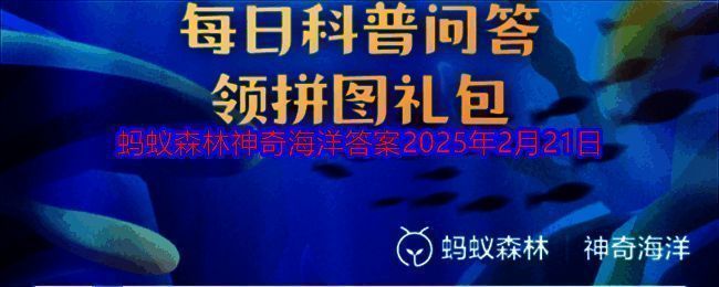 相关配图 1