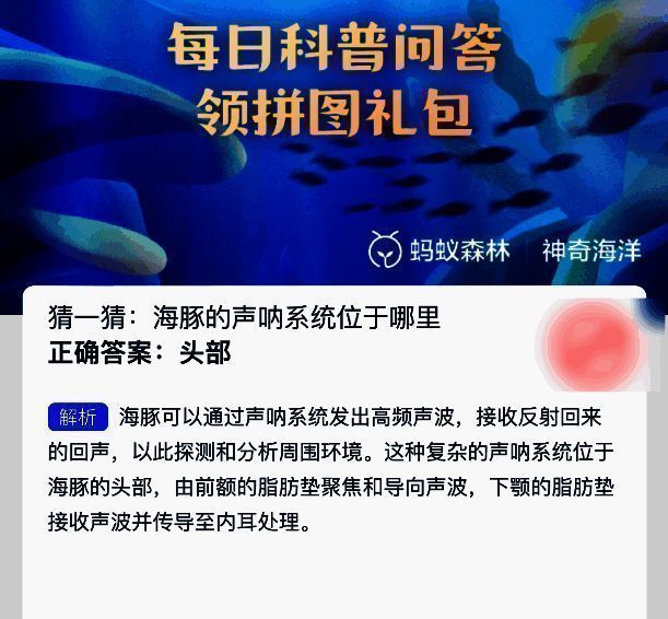 相关配图 2