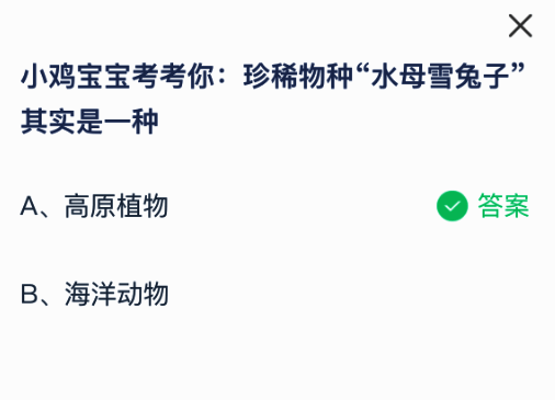 相关图片2