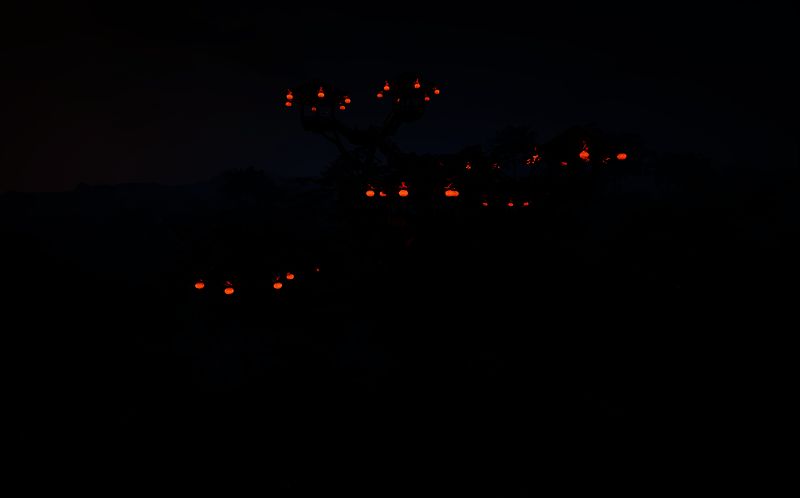 《帝国神话》中玩家建造的丛林树屋图片1