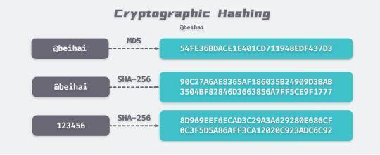 X.Game幸运哈希相关图片2