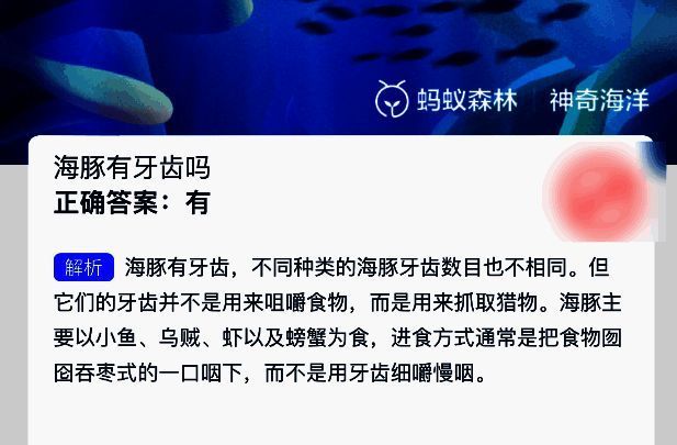 相关配图3