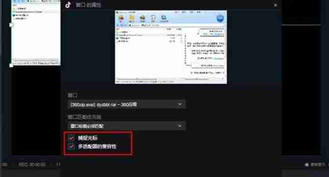 选择是否捕捉鼠标光标及开启多适配器兼容性界面