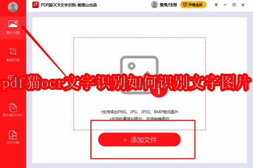 PDF猫OCR文字识别软件相关界面示例