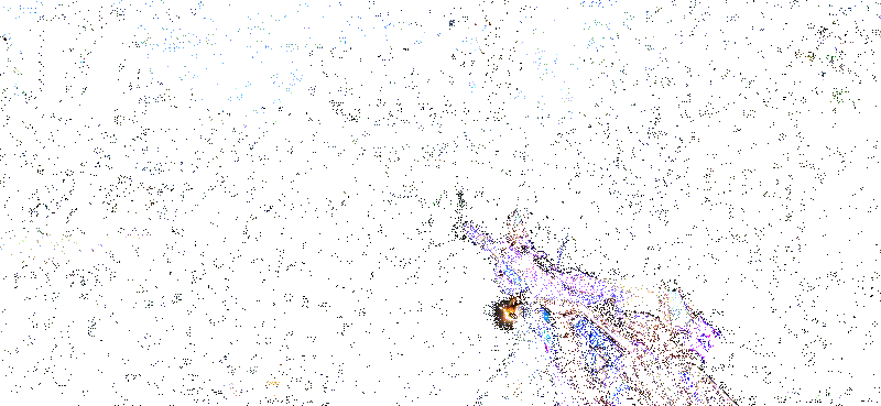 SCAR - 心动PICK宣传动图