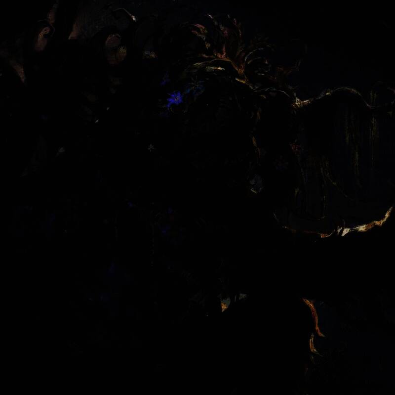 《午夜之南》神秘生物概念艺术图