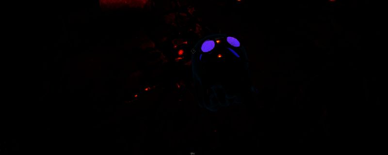 《Goblin Cleanup》相关图片1
