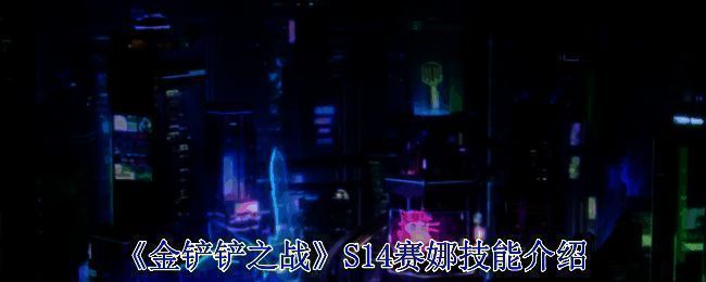 赛娜相关图片1