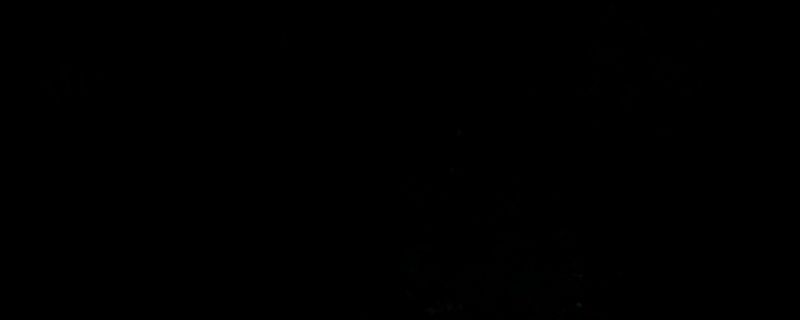 《Bylina》相关图片1