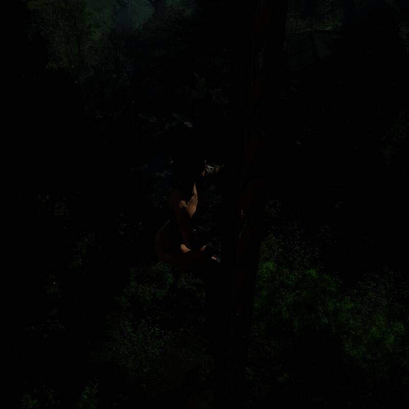 《明末：渊虚之羽》相关宣传内容截图