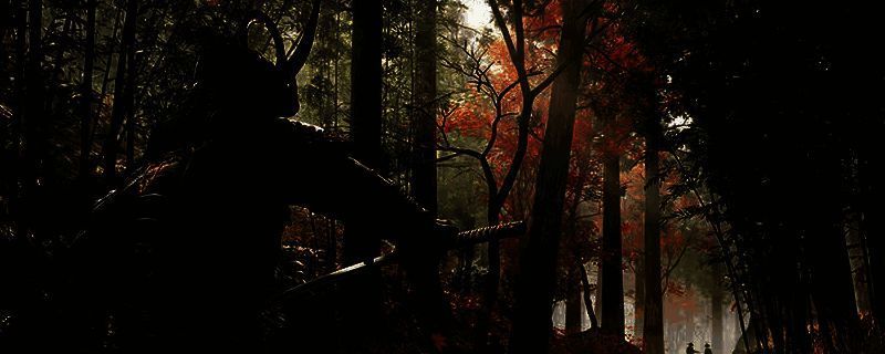 《刺客信条：影》战斗相关图片