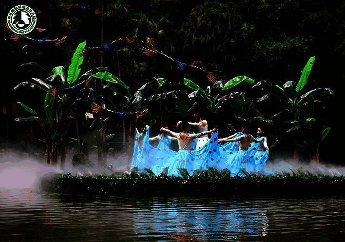 西双版纳原始森林公园景色图2