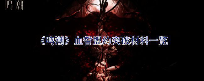 鸣潮血誓盟约相关图片