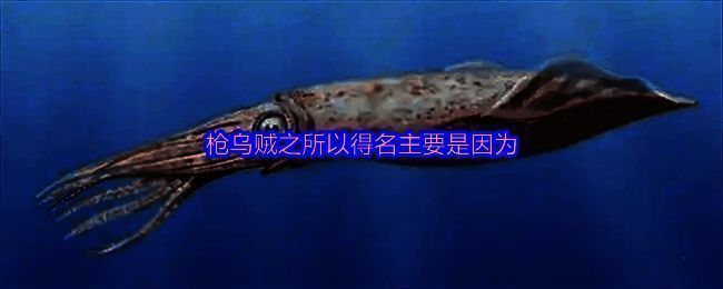 相关配图