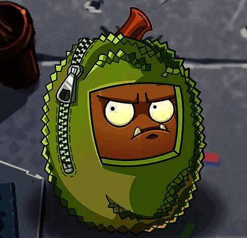 原始坚果墙cos蜜帝装扮