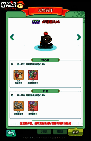 宠物展示图片
