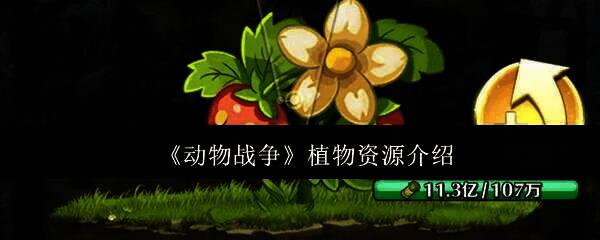 动物战争游戏相关图片