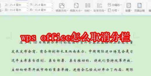 WPS Office相关界面图