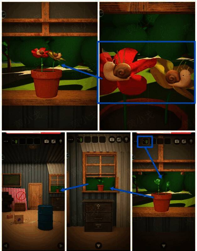 浇花吸引蜗牛获得线索图片