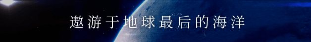 《冰海孤翼》游戏画面2