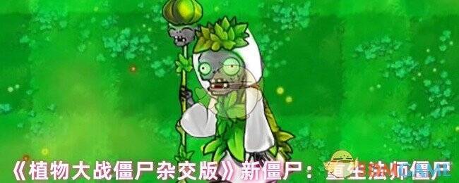 植物大战僵尸杂交版重生法师僵尸展示图