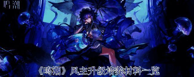 风主相关图片1