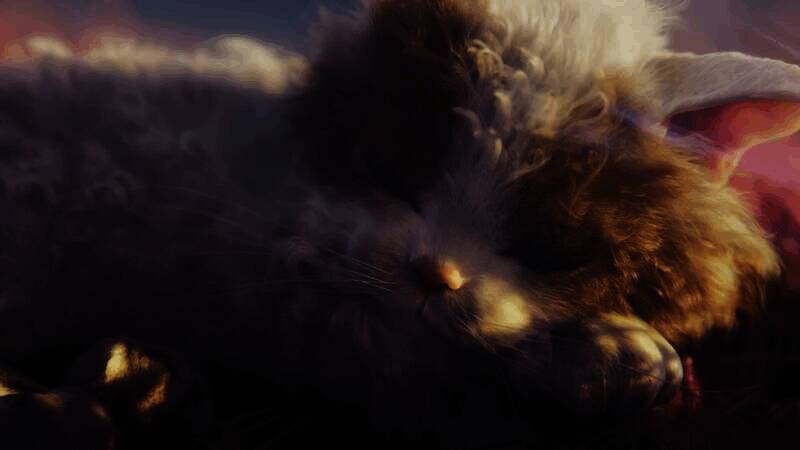 《Catly》游戏特色画面1