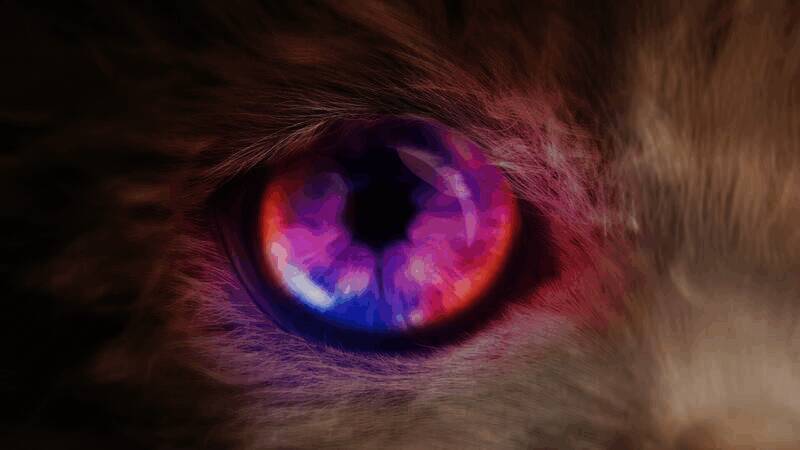 《Catly》游戏特色画面6