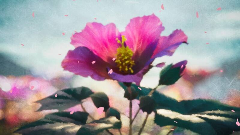 《大神》续作视频截图4