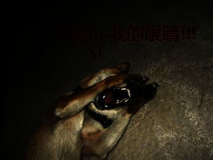 《以闪亮之名》奇葩穿搭图片