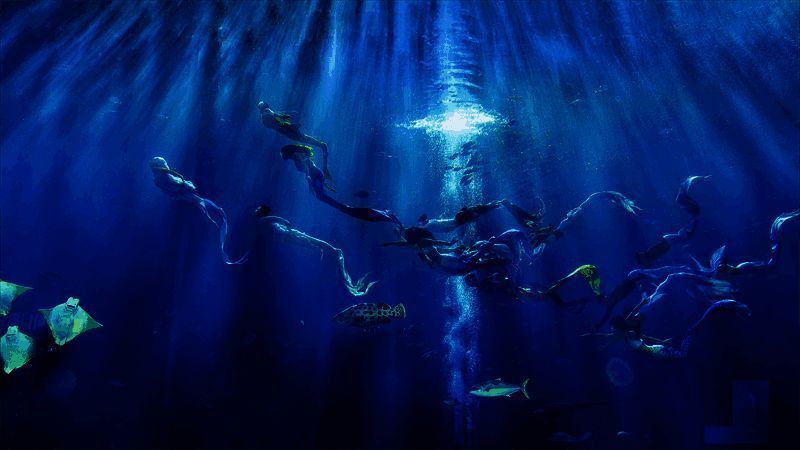 Coser巡游表演画面