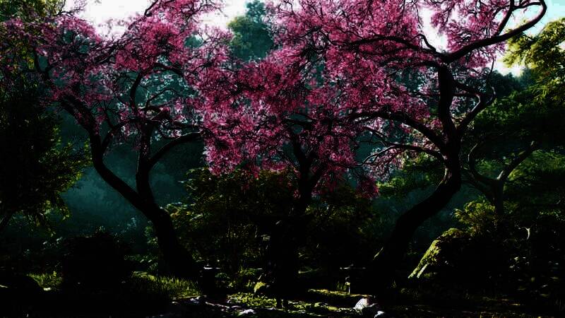 《刺客信条：影》游戏美景