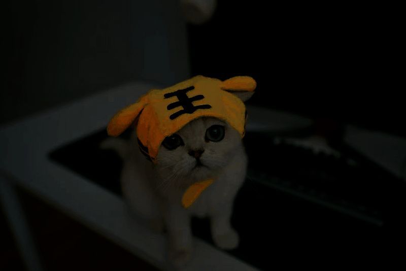 新角色线索图