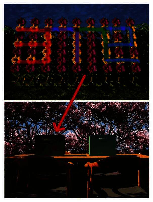 春天场景河边花丛及桌上盒子画面
