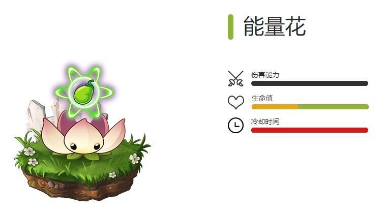 能量花图片
