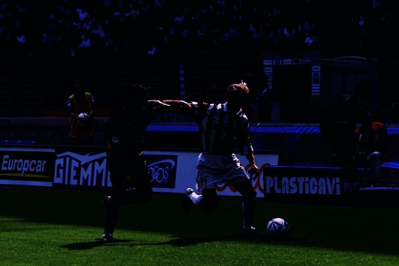 内德维德相关图片3