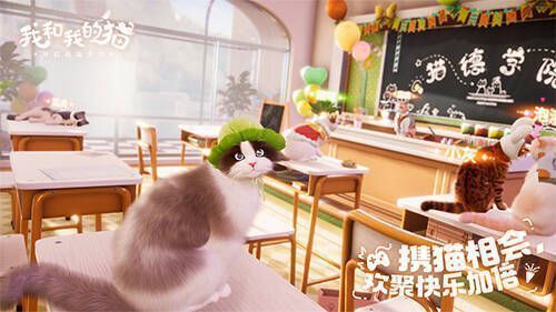《我和我的猫》游戏中猫咪派对画面