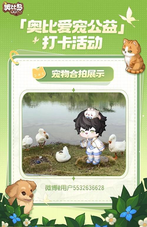 小奥比与宠物可爱合拍图5